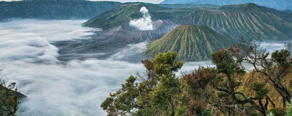 parc national de Bromo-Tengger-Semeru